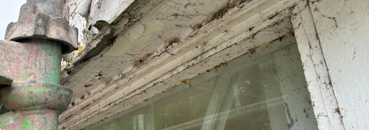 asbestos material