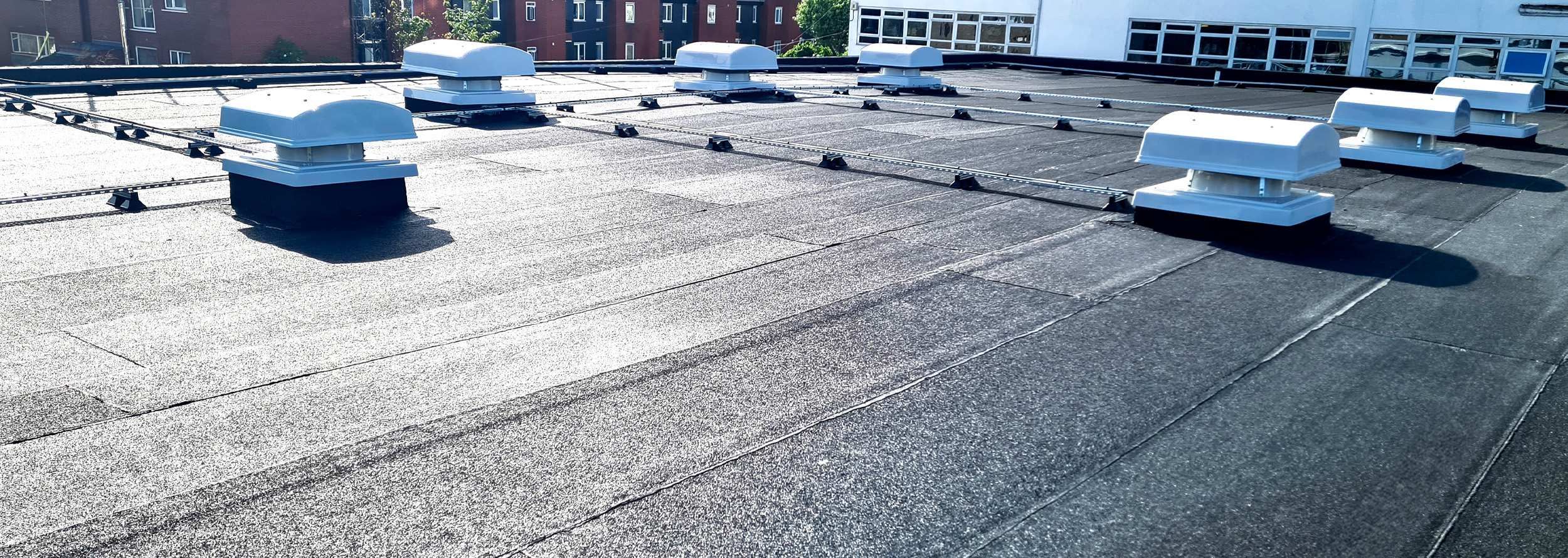 Starfish surveyors discussing plans in front of a computer screen