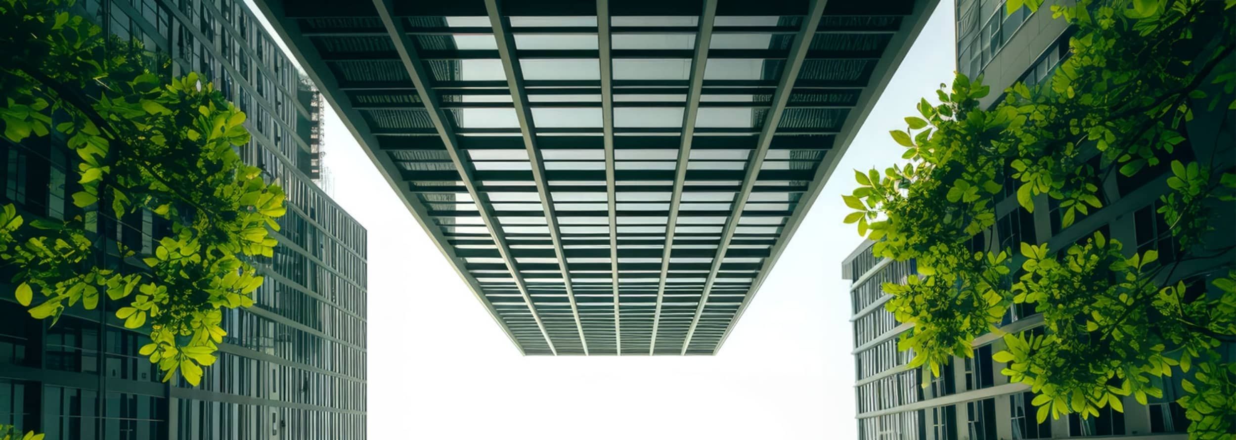 View of multi-storey buildings from a very low perspective